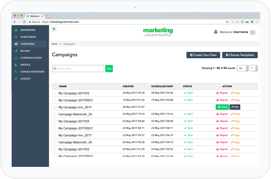 Create and Manage Your Campaigns
